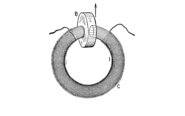 fig7.png